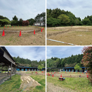Shiina Riding Club　会員様が使える騎乗チケット（12,000円分）【茨城県 北茨城市 アクティビティ おでかけ 体験 チケット 馬 乗馬】（DA004）