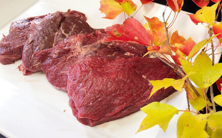 エミュー肉ステーキ 600g（150g×4枚） / 佐賀県 / 株式会社きやまファーム[41ALAA002]