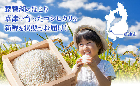 令和7年産　近江米コシヒカリ（白米）5kg×4　計20kg 