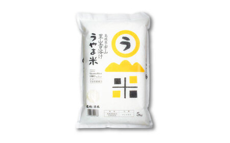 【全3回定期便】うやま米コシヒカリ 5kg [AIDB077] 米 定期便