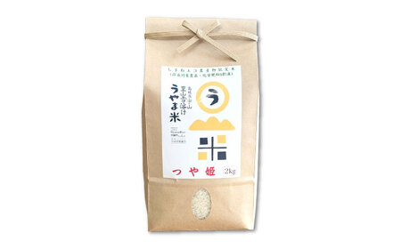 つや姫 うやま米 10kg（2kg×5）[AIDB088] つや姫