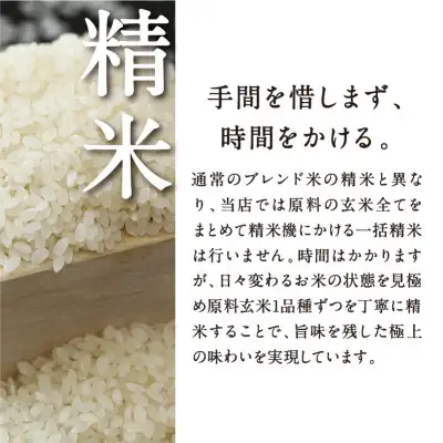 【八代目儀兵衛】星付き銘店米 翁霞 4kg｜京都 米料亭 五ツ星お米マイスター厳選 人気セット