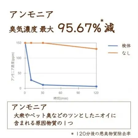 リードディフューザー RIN【凛】【配送不可地域：沖縄県】【1682092】