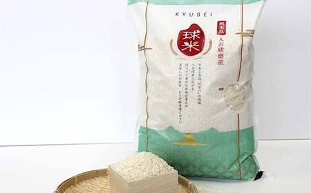 FKP9-682 【令和7年度産】人吉球磨産白米 ひのひかり・くまさんの輝き各5kg 新米 白米 精米 ふっくら 国産米 おすすめ 農家