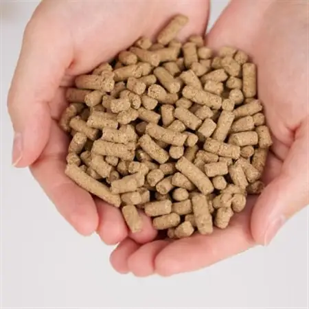 「東京の鹿」鹿肉ドッグフード 成犬用・小粒ドライタイプ　800g×2個セット【1679156】