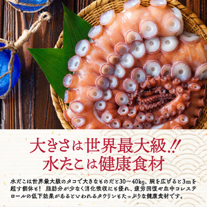 17-217 水だこ太足 小分け真空パック約1kg