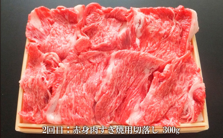 【定期便2回】山形市で育った黒毛和牛2ヶ月連続届けますコース 700g FZ20-002