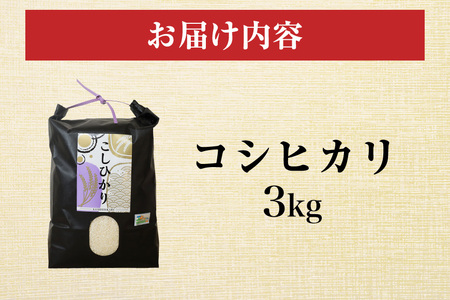 令和7年度産 笠間 塙商店の コシヒカリ 3kg 米 新米 精米 ブランド米 お米 白米 国産 おにぎり 弁当 R7年産 ごはん おいしい 旨い ふっくら お米 茨城県 笠間市 いばらき ID-031