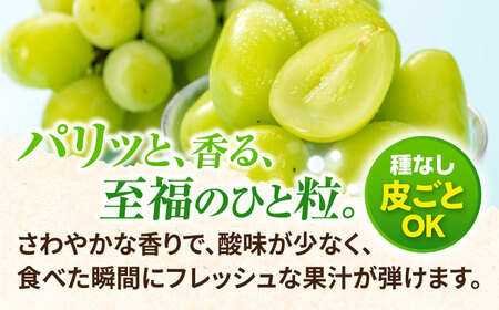 【2026年8月中旬以降発送開始】 シャインマスカット 3～4房 約2kg/マスカット シャイン ぶどう 葡萄/大村市/おおむら夢ファームシュシュ[ACAA481]