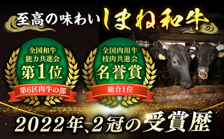 しまね和牛切り落とし 600g 島根県松江市/株式会社さんれいフーズ[ALFR007]