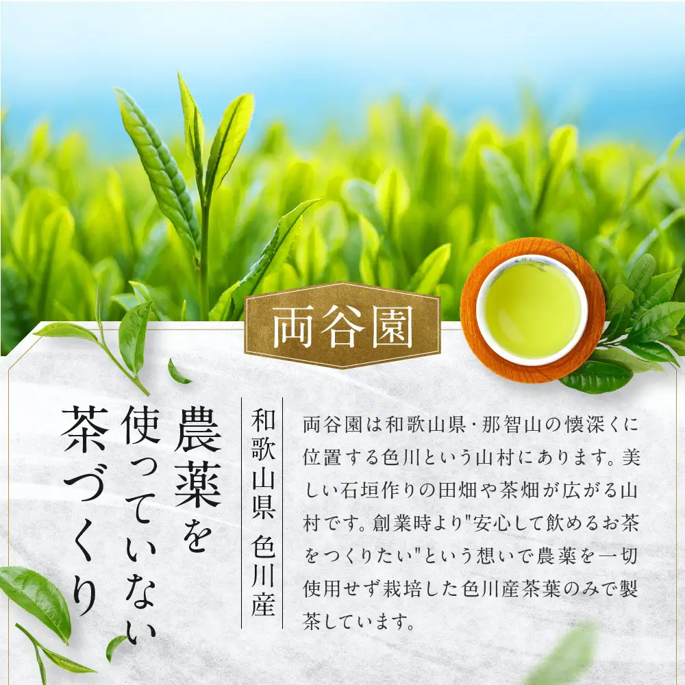 お茶セット 3種セット（上ほうじ茶・紅茶いろかわ・玉緑茶）合計6パック