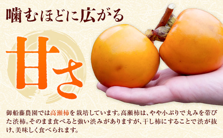 【先行予約】昔ながらの 干し柿 16個 柿 果物 フルーツ かき 高瀬柿 御船藤農園《2026年11月中旬-2027年1月中旬頃出荷》熊本県 御船町 ドライフルーツ 甘味 くだもの 和菓子 熊本県産 おやつ スイーツ