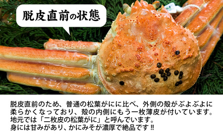【訳あり】【数量限定】希少な松葉がに ボイル 冷凍 1杯 500g～600g 産地でしか手に入らない脱皮直前のレアな松葉がに ソフト蟹