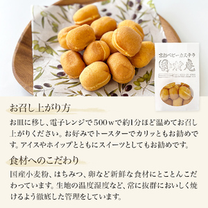スペシャルボックス はいとく缶 ３種・ ベビーカステラ 12個×3種・ ベビーポップ ×おまかせカラー3本 カステラ お菓子 スイーツ おやつ デザート ご褒美 ホイップ 生クリーム 自家製 宮城県 石巻市
