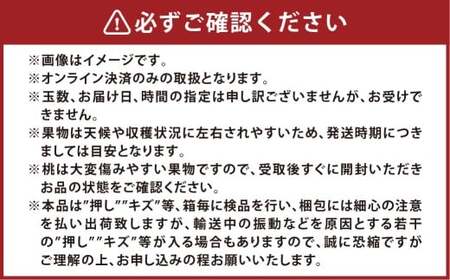 岡山清水白桃 5～7玉（合計1.5kg以上） もも 桃 モモ 白桃 フルーツ 果物 果実 清水白桃 岡山県 倉敷市【2026年7月上旬～7月下旬まで順次発送予定】