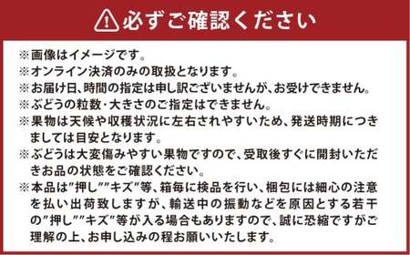 シャインマスカット晴王 1房（700g以上） マスカット ぶどう 葡萄 ブドウ 晴王 果物 フルーツ 岡山県 倉敷市【2026年9月上旬～10月上旬まで順次発送予定】