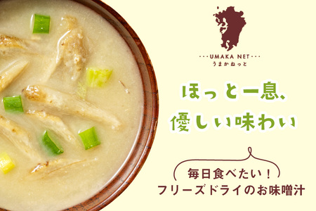 味噌汁 フリーズドライ 業務用 ごぼう 15食 [um40azp050011] 味噌汁