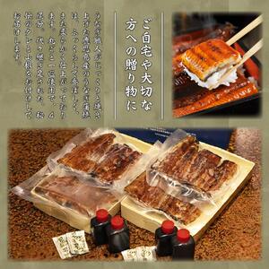 八王子志乃ざき　秘伝のタレ付き上蒲焼４枚セット