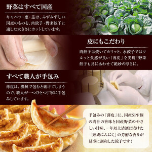 長期熟成にんにくの芳醇な旨味が決め手 肉餃子・野菜餃子詰合せ　48個入り （肉餃子・野菜餃子　各12個入×2パック）