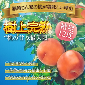 【綱崎さんの桃】完熟桃のシロップ漬け 3kg ※離島への配送不可 | スイーツ お菓子 バレンタインデー ホワイトデー 完熟 国産 桃 お中元 お歳暮 贈り物 贈答用 グルメ ギフト
