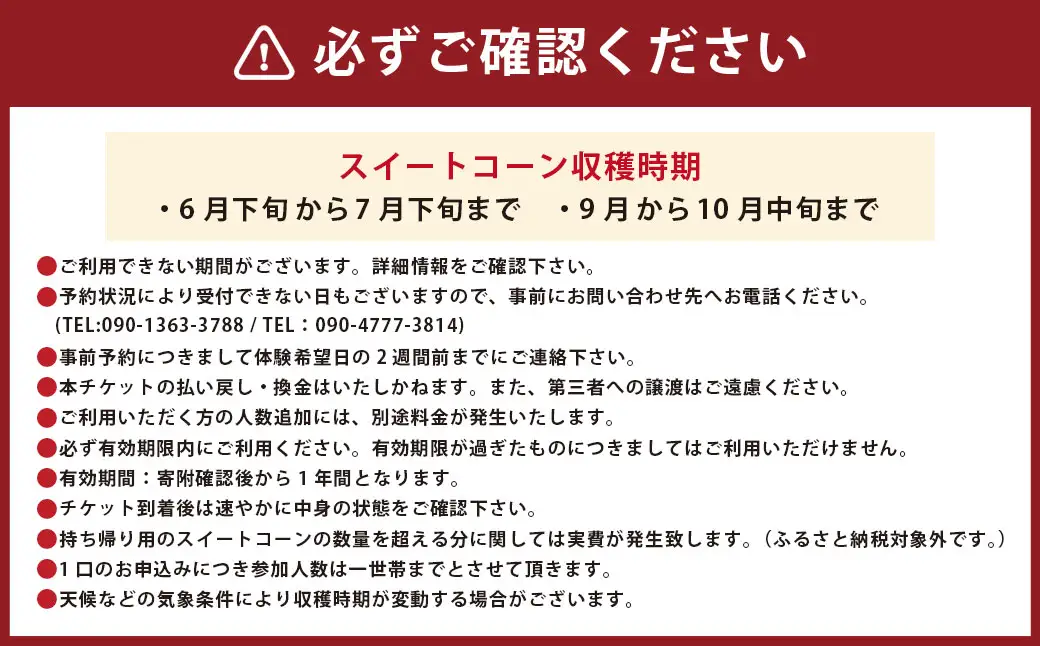 F6 アッキーファーム スイートコーン収穫体験 （スイートコーン30本込み） とうもろこし トウモロコシ 野菜 やさい 農作物 農業 体験 チケット 商品券 施設利用券 福岡県産 国産 福岡県 みやま市