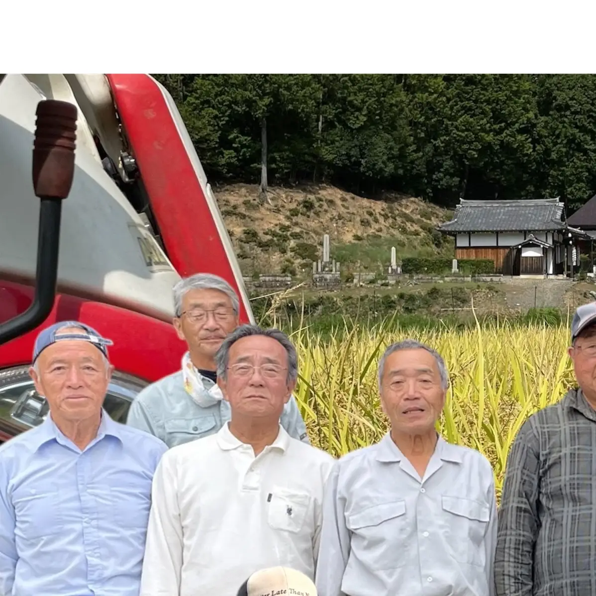 【コシヒカリ】【京都】令和8年産 有機堆肥栽培米 こしひかり 摩氣米 10kg | お米 米 コメ 精米 白米