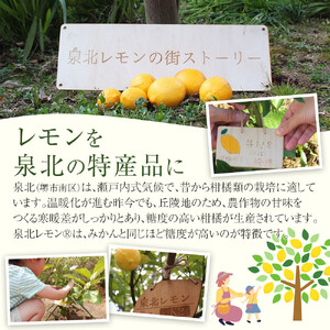 泉北レモンの街ストーリー(R)手ぬぐい