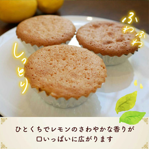 爽やかな風味♪ 美浜檸檬マドレーヌ 5個 フレベールラデュ 焼き菓子 洋菓子 スイーツ お菓子 個包装 贈り物 プレゼント 愛知県 美浜町