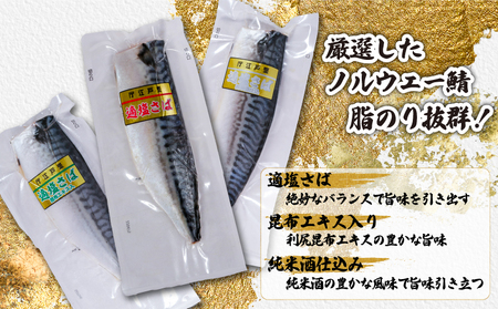 【 スピード配送 】 お試しセット 適塩さば 真空 個包装 12枚 適塩 昆布 純米酒