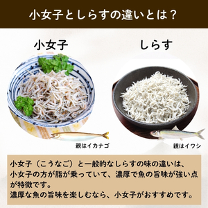 小女子 こうなご 刺身 500g ＼ 刺身 ／