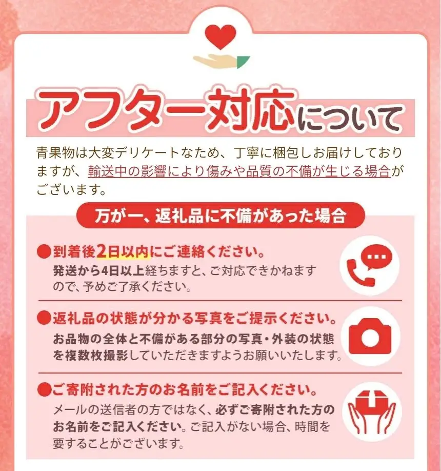 【2026年先行予約】 秋月 3㎏ 真岡市産 梨 なし