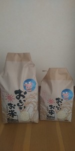 米 ヒノヒカリ3㎏(令和7年産)　白米【12-140】