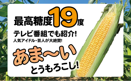 【先行予約】 とうもろこし アフロコーン 約5kg （2026年7月上旬～8月上旬配送） とうもろこし