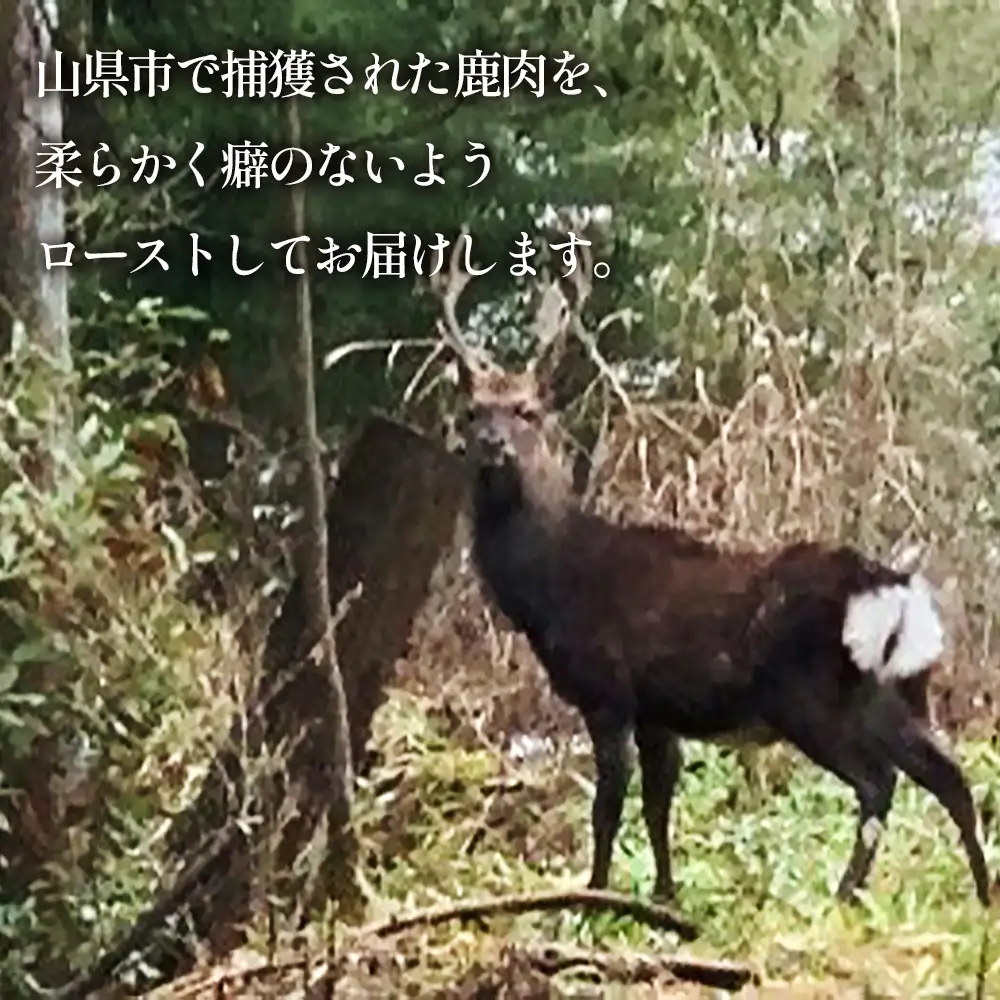 鹿肉ロースト　200g [No.1130] ／ 肉 ジビエ シカ 鹿 高たんぱく 低カロリー 低脂質 鉄分 栄養 柔らかい スパイス シカロースト 国産ジビエ 岐阜県 特産