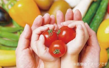 【令和7年度産】 熊本県（七城）産のお米と熊本県産の野菜ときのこ お米（5kg）・野菜＆きのこ（11～12品） 精米 単一原料米 ひのひかり   ジャガイモ ニンジン シイタケ 【2025年11月上旬発送開始】