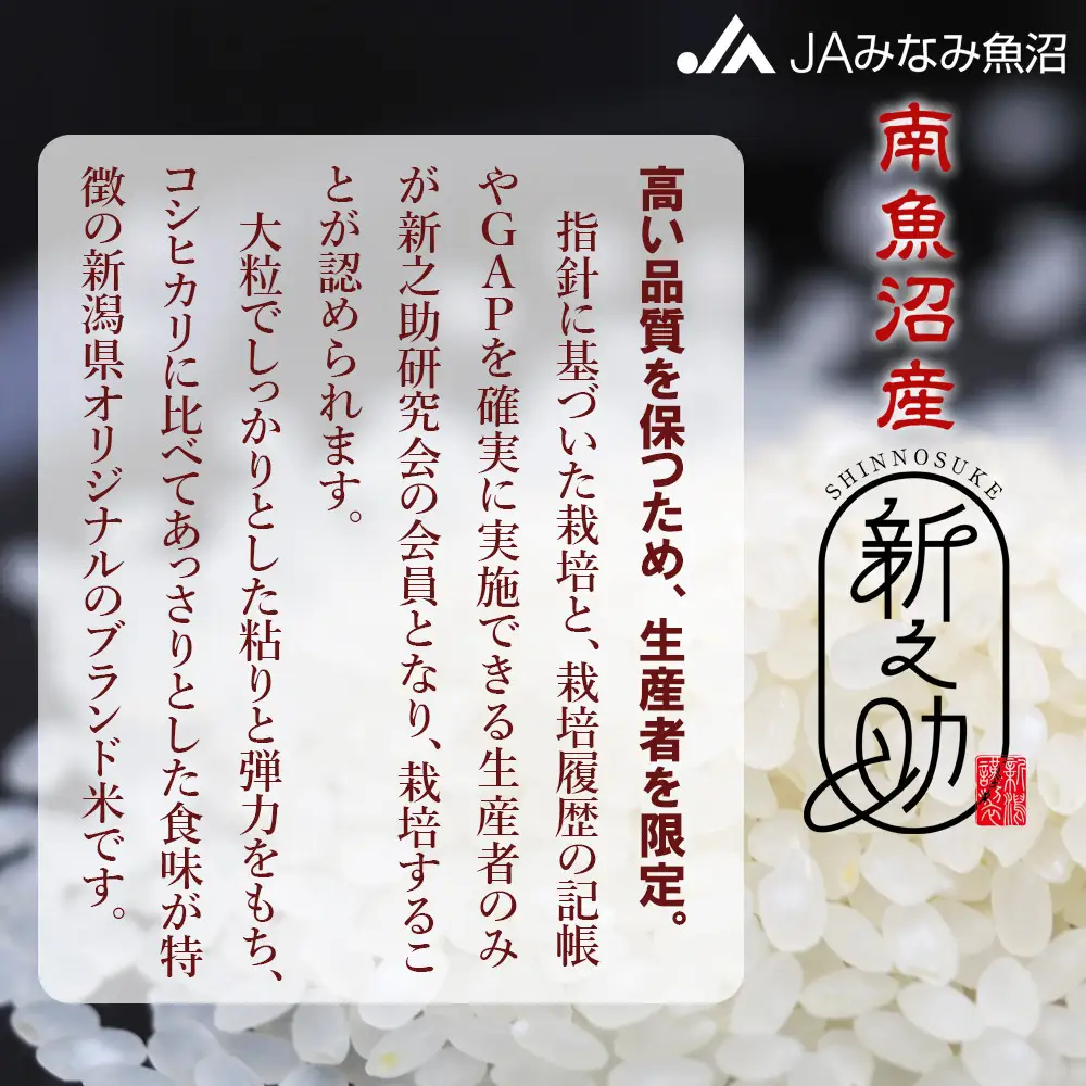 【令和7年産】南魚沼産新之助 精米 2kg×2袋 ｜新之助