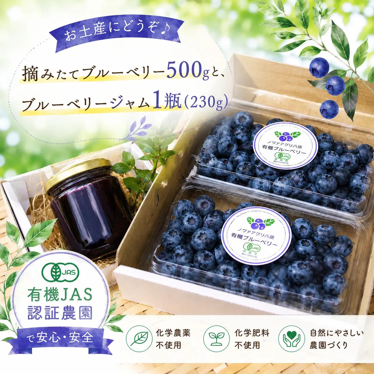 Y1058 丘の上の有機JASブルーベリー農園で1日1組限定（5名様まで）の収穫体験