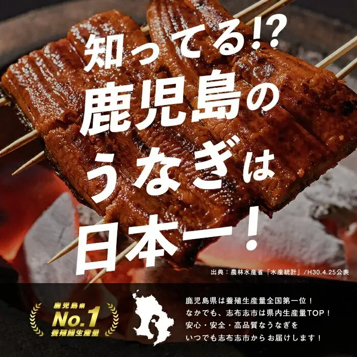 【志布志市制20周年記念】【10営業日以内に発送】鹿児島県産うなぎ蒲焼 名水慈鰻 2尾＜計350g以上＞ うなぎ 鰻 ウナギ 国産 九州産 蒲焼 かばやき 人気 うな重 ひつまぶし a3-236