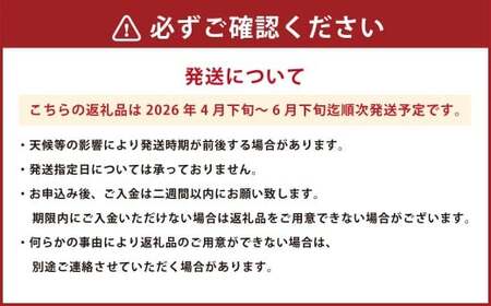 植木産 すいか Lサイズ 1玉 【2026年4月下旬～6月下旬迄順次発送予定】 スイカ 西瓜 果物 くだもの フルーツ