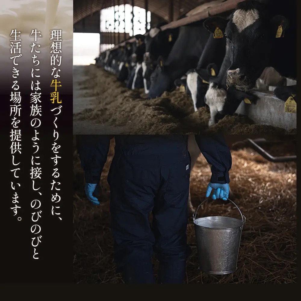 【Google口コミ星4.9の洋菓子店】極濃チーズサンド(4個入)×1　特選ギフト 味覚のふきだまり（13個入 計450g）【52011】