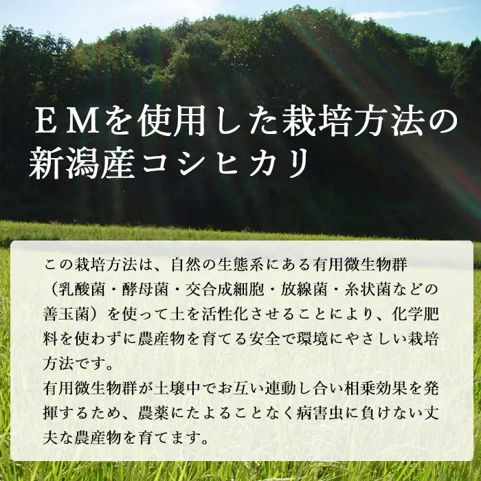 〈令和8年産 新米〉先行予約 【3カ月定期便】有機栽培米 新潟産コシヒカリ 5kg×3回（計15kg）有機JAS認証／2026年11月中旬より順次発送