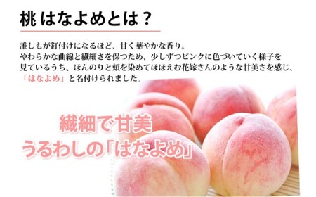 桃 はなよめ 秀品 約900g 6-10玉入り お取り寄せ クール便でお届け 温室桃 熊本植木産 千代姫 日川白凰 白凰 もも ピーチ フルーツ 冷蔵 【2026年5月下旬～6月下旬迄順次発送予定】