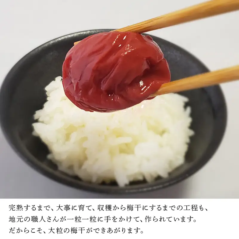 唐津市七山南高梅 田舎梅 (500g×1) 梅干し