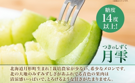 【ふるなびWEEK対象】【2026年夏発送】北海道 赤肉メロン 北の女王 青肉メロン 月雫 秀品 約1.6kg 各1玉 令和8年 メロン 果物 フルーツ 旬 希少 甘い 豊潤 国産 産地直送 ギフト お祝い 贈答品 贈り物 お中元 お取り寄せ 送料無料 FN-Limited-WE