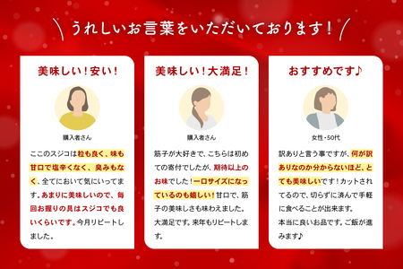 訳あり 紅鮭筋子醤油漬 250g R002-052