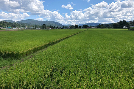 岩手県産ひとめぼれ　10kg（5kg×2袋） 【2261】