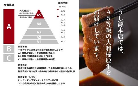 【ふるなびWEEK対象】(冷凍) 大和榛原牛 たれ漬け ／ 黒毛和牛 A5ランク 味付き 野菜炒め 時短レシピ 焼肉 BBQ バーベキュー キャンプ アウトドア 父の日 母の日 手土産 お中元 暑中見舞い お歳暮 正月 400g