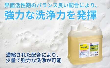 中性洗剤 業務用 牛丼チェーン松屋フーズで使用 2kg×6本 | 洗剤