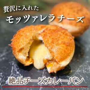 カレーパン 2種6個セット カレーパン