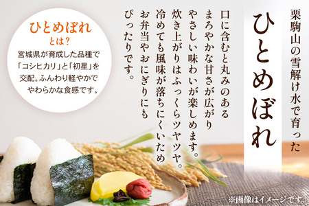 【白米】令和7年産 宮城県栗原市 厳選米 ひとめぼれ 30kg（5kg×6袋）